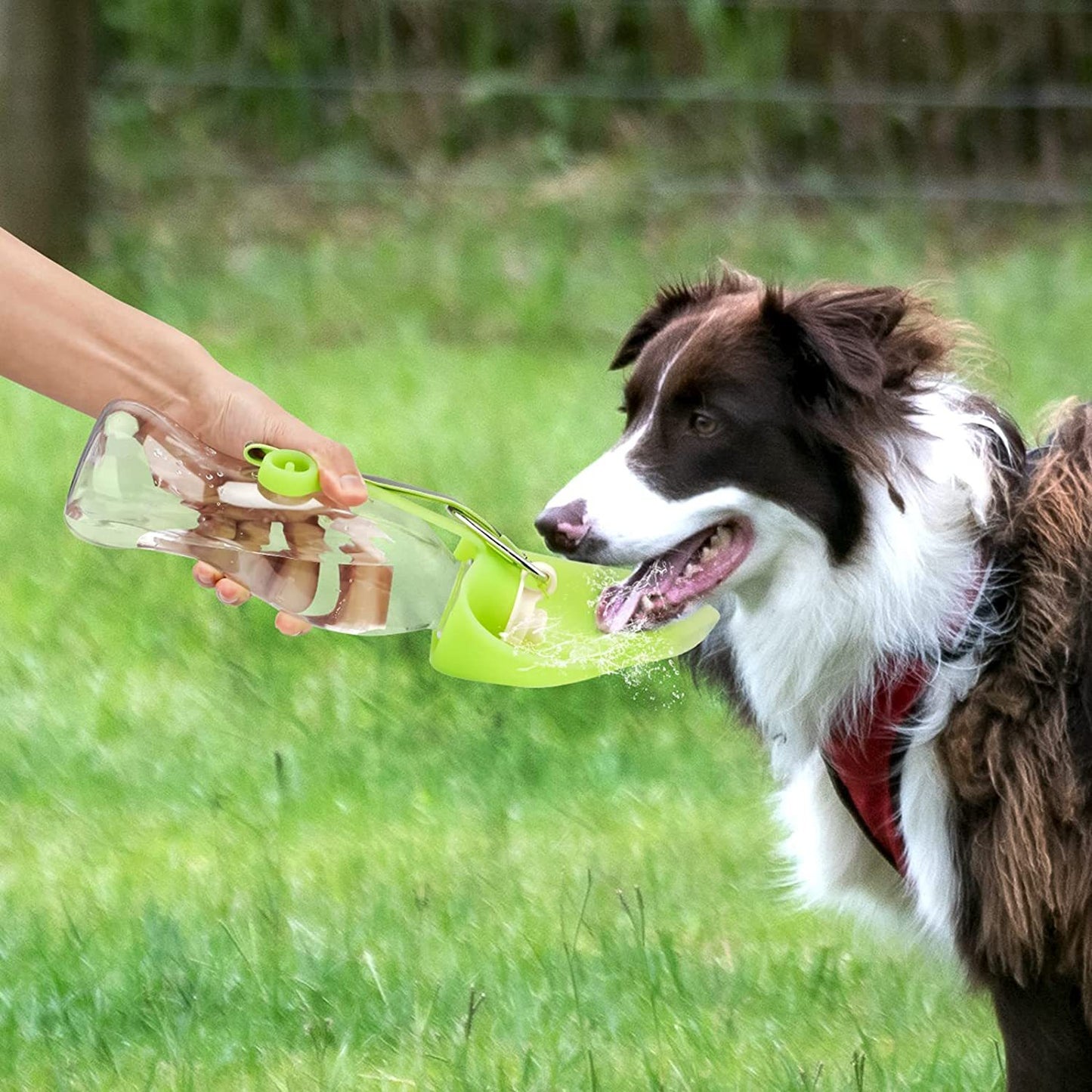 Foldable Dog Water Bottle