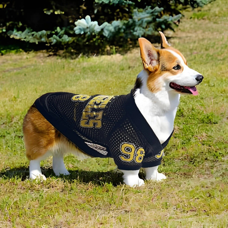 Los Angeles Jersey