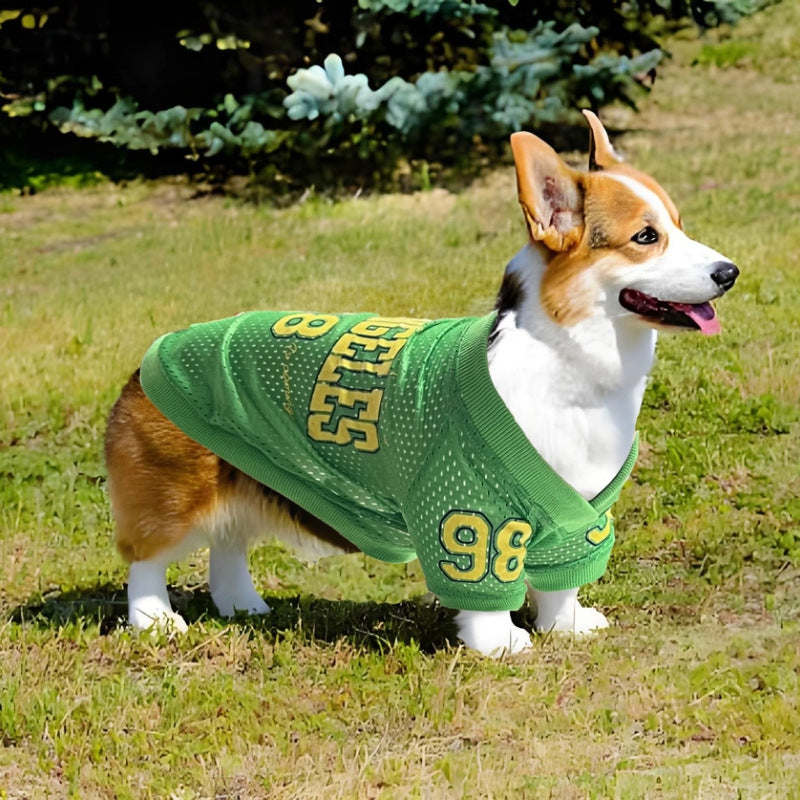 Los Angeles Jersey