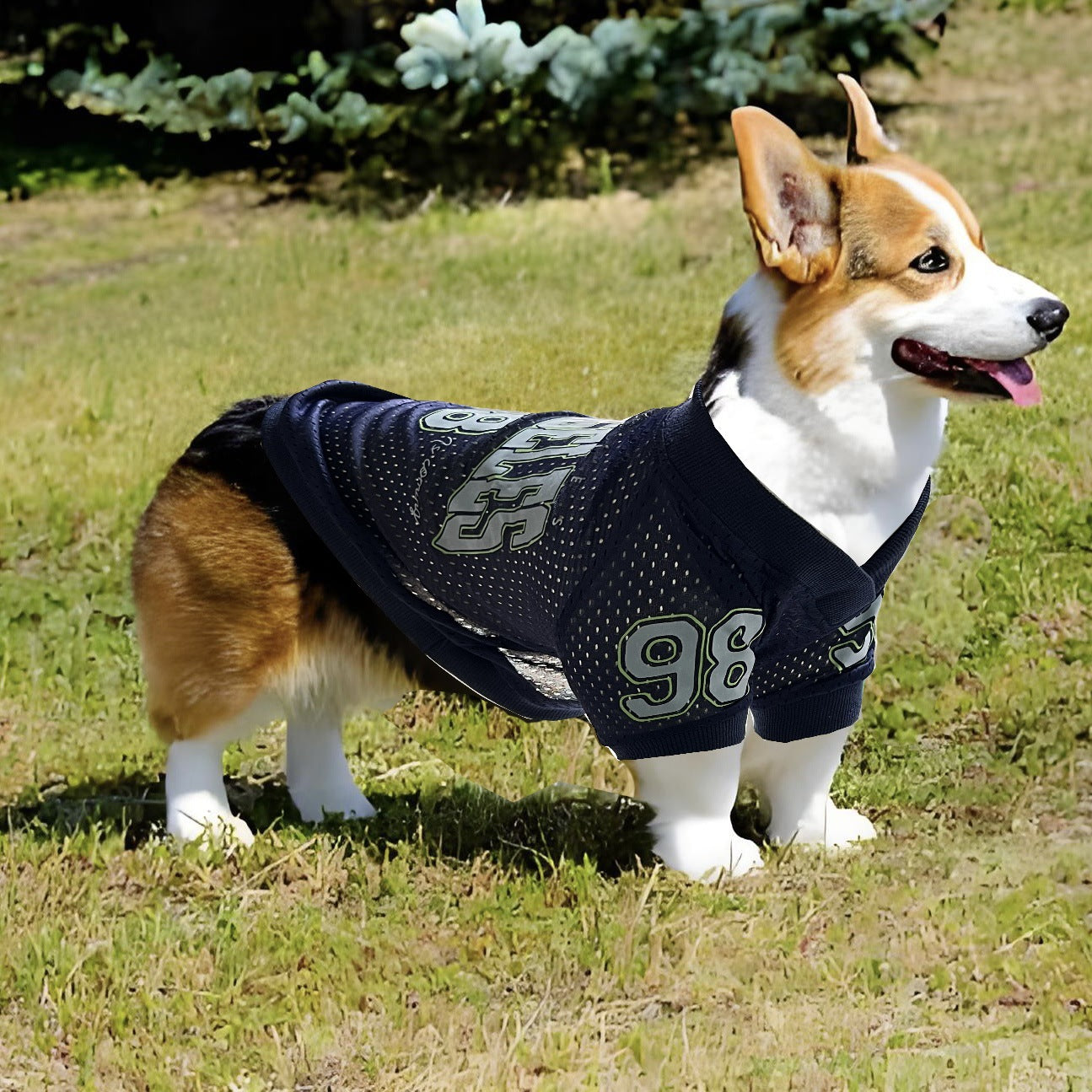 Los Angeles Jersey