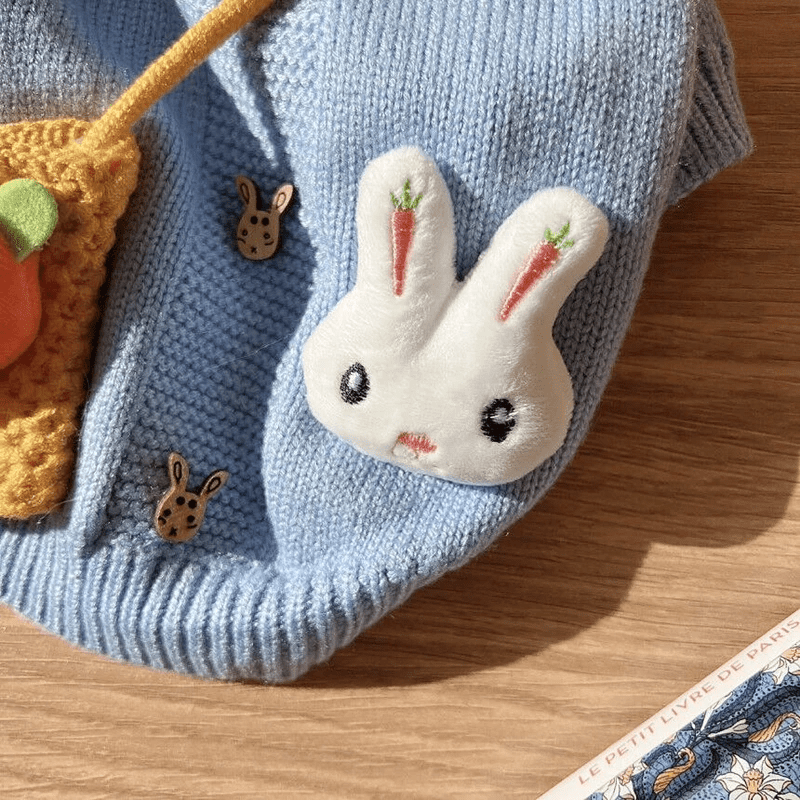 Cute Turquoise Bunny Sweater - PawPlaza