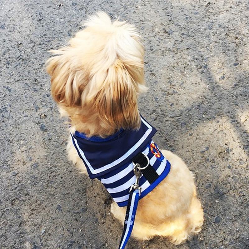 Sailor Snuggles Harness