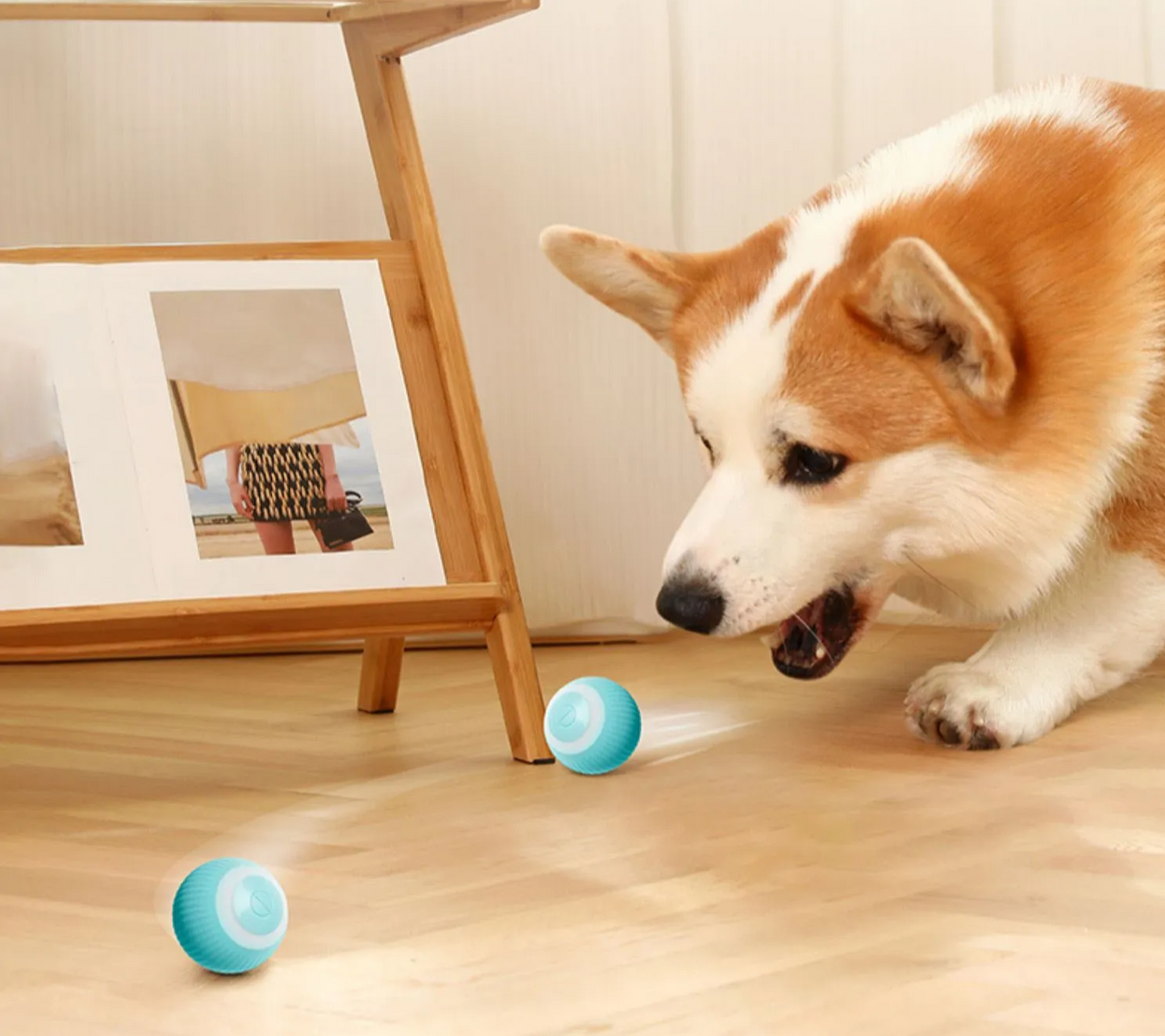 Auto-Rolling Interactive Smart Ball