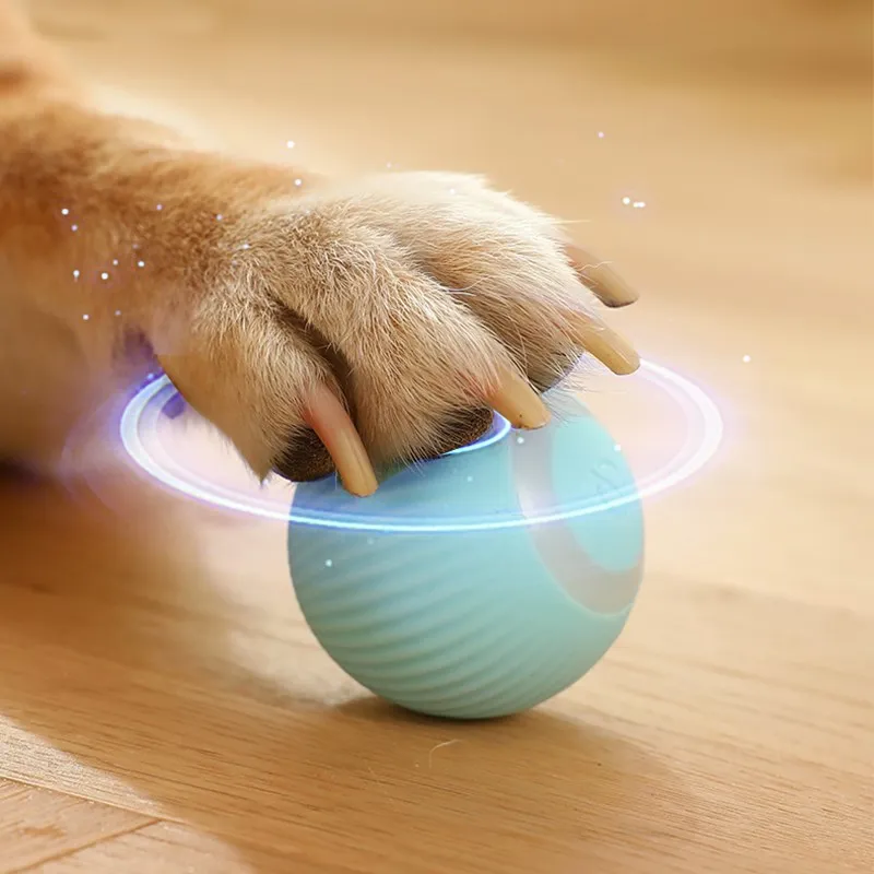 Auto-Rolling Interactive Smart Ball