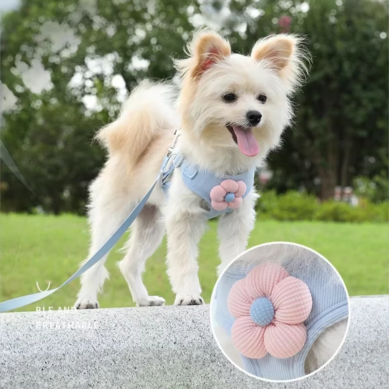 Spring Flower Harness