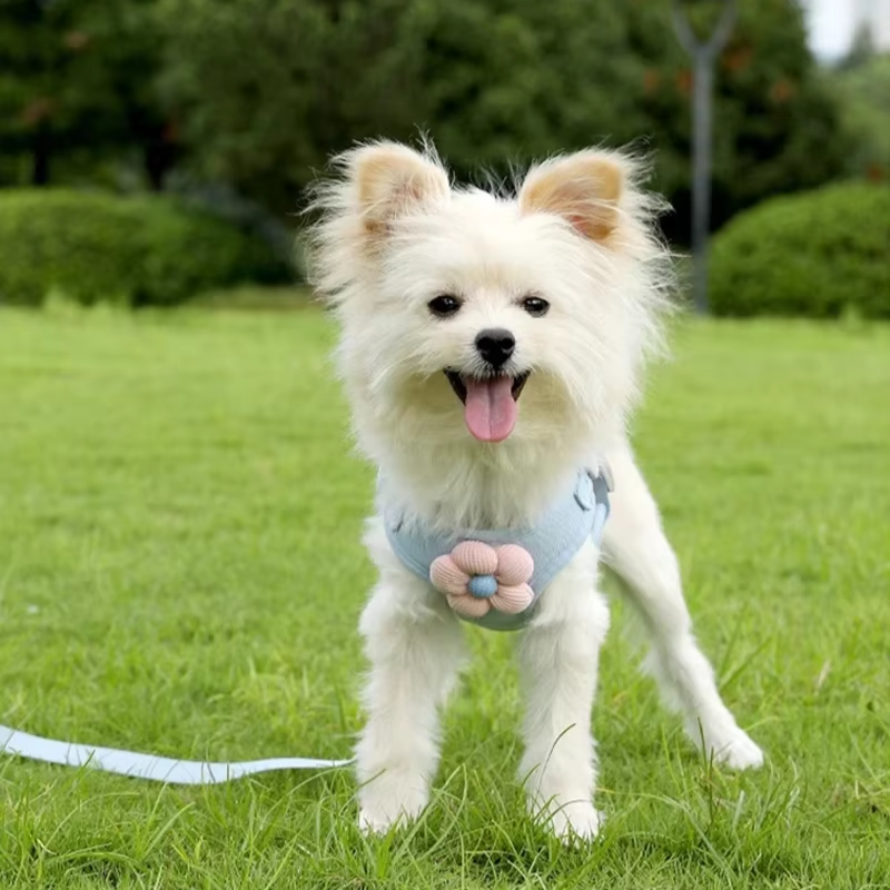 Spring Flower Harness