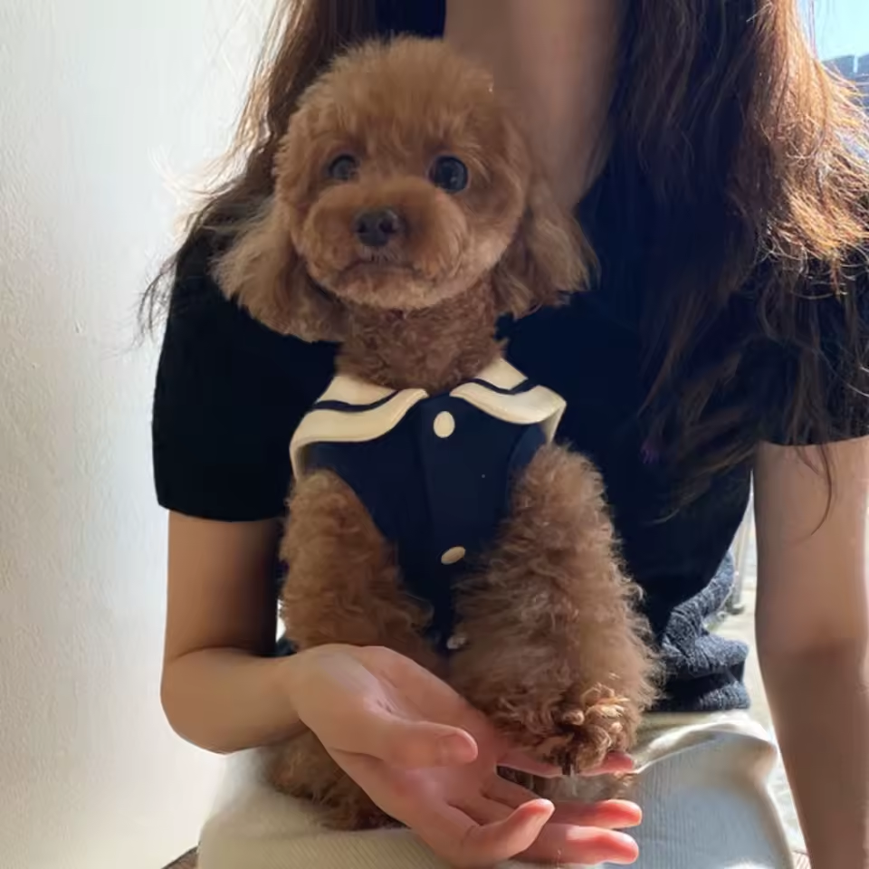 Nautical Breeze Collar Shirt