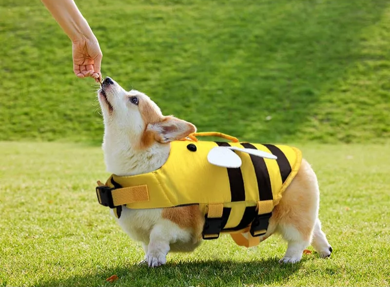 Honey Bee Dog Life Jacket