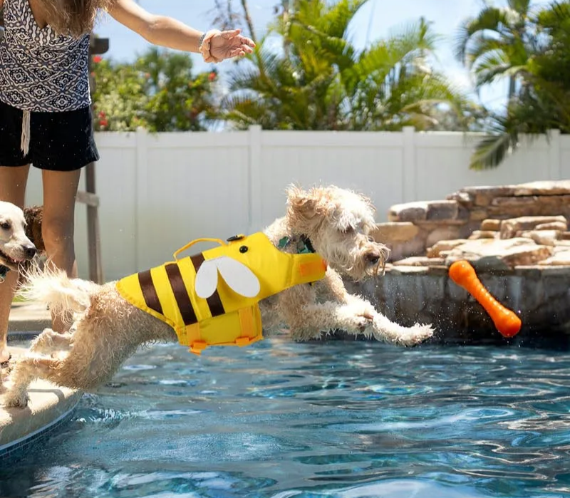 Honey Bee Dog Life Jacket