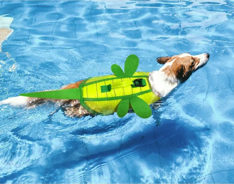 Honey Bee Dog Life Jacket