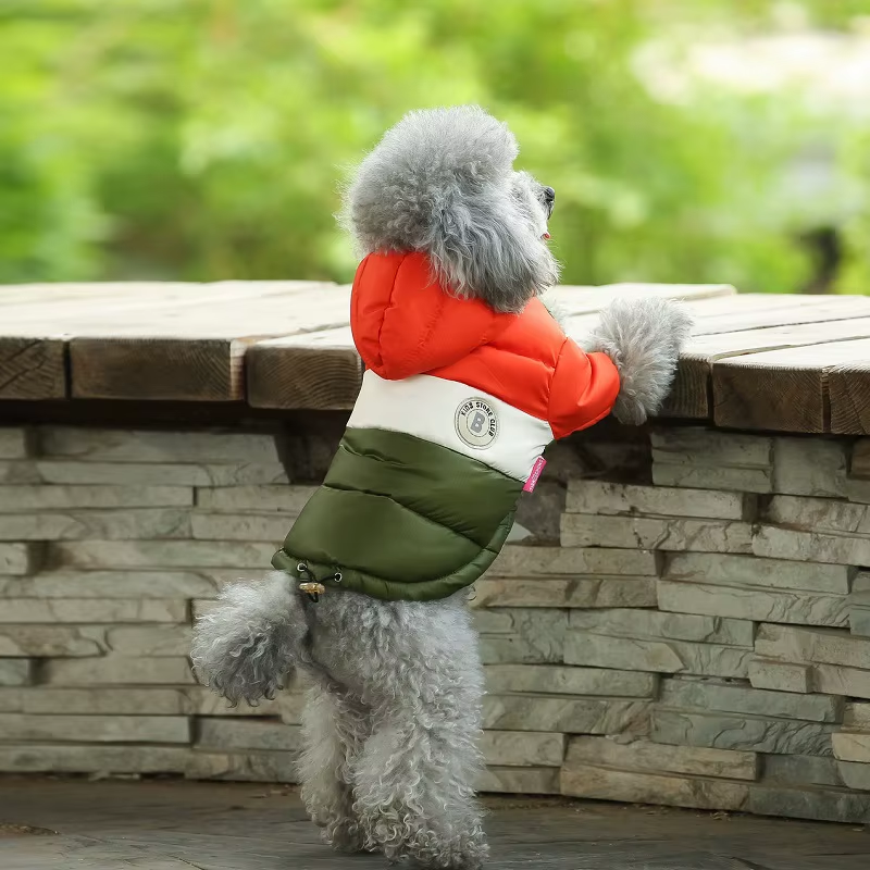 Sugar Pop Cotton-Padded Puffer Jacket