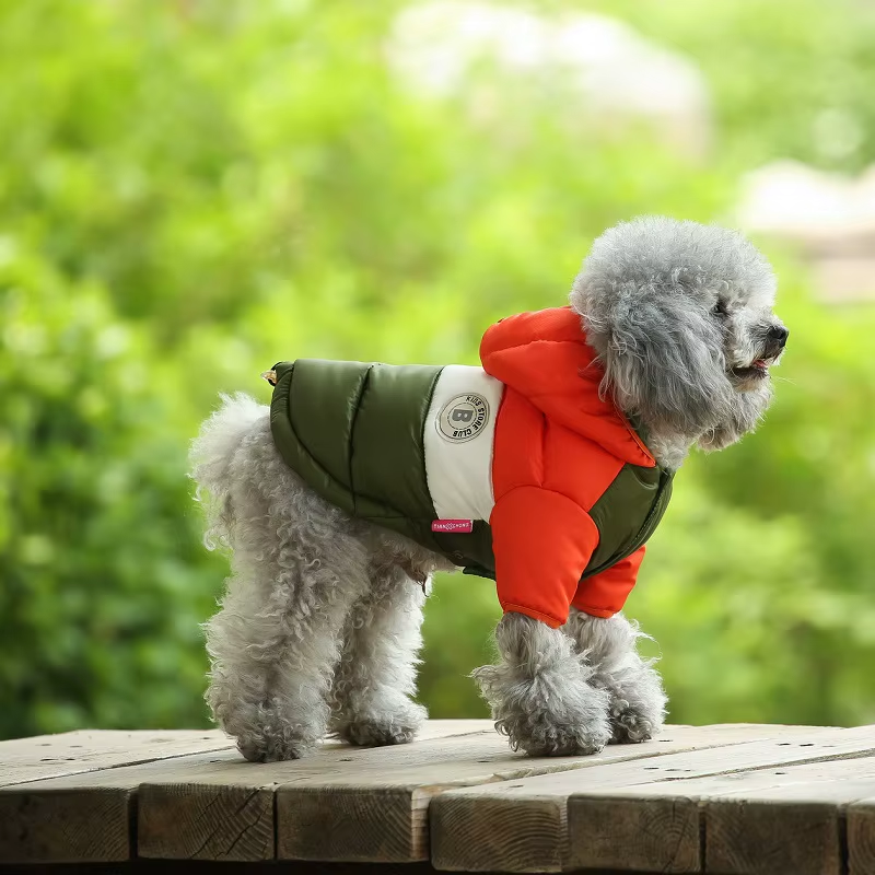 Sugar Pop Cotton-Padded Puffer Jacket
