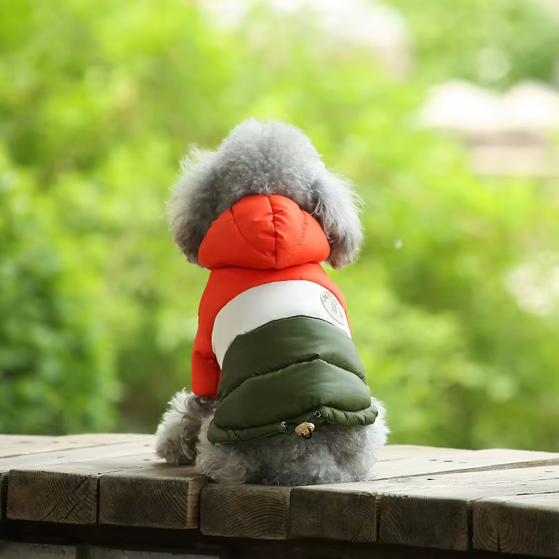 Sugar Pop Cotton-Padded Puffer Jacket
