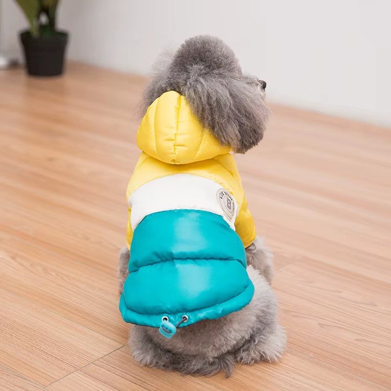 Sugar Pop Cotton-Padded Puffer Jacket