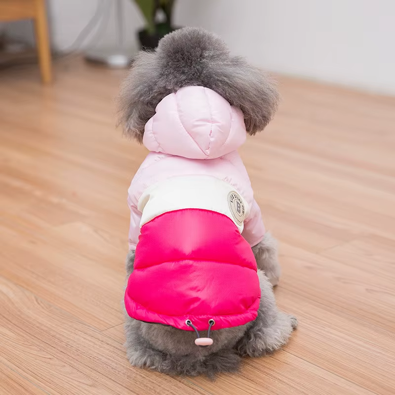 Sugar Pop Cotton-Padded Puffer Jacket