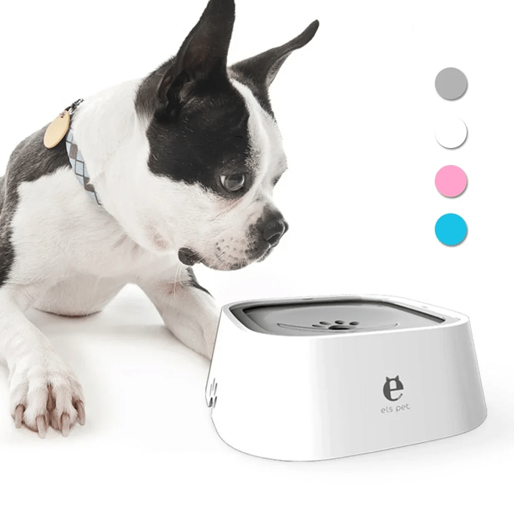 2L Anti - Spill Non - Slip Travel Water Bowl - PawPlaza