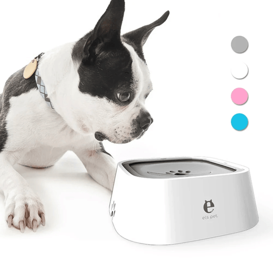 2L Anti - Spill Non - Slip Travel Water Bowl - PawPlaza