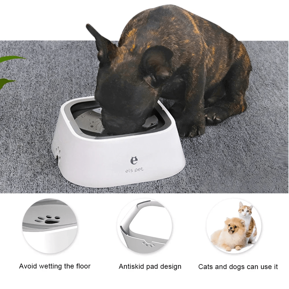 2L Anti - Spill Non - Slip Travel Water Bowl - PawPlaza