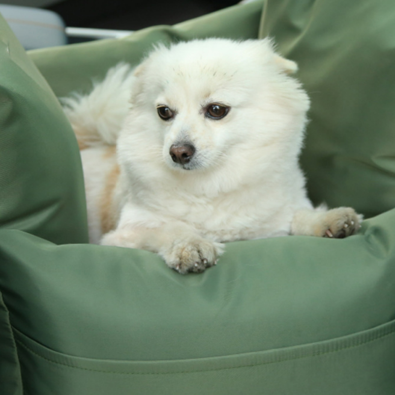 First Class Pet Car Seat