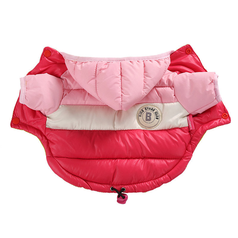 Sugar Pop Cotton-Padded Puffer Jacket