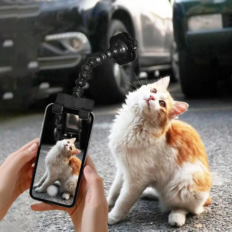 Pet Treat Holder Photography Tool