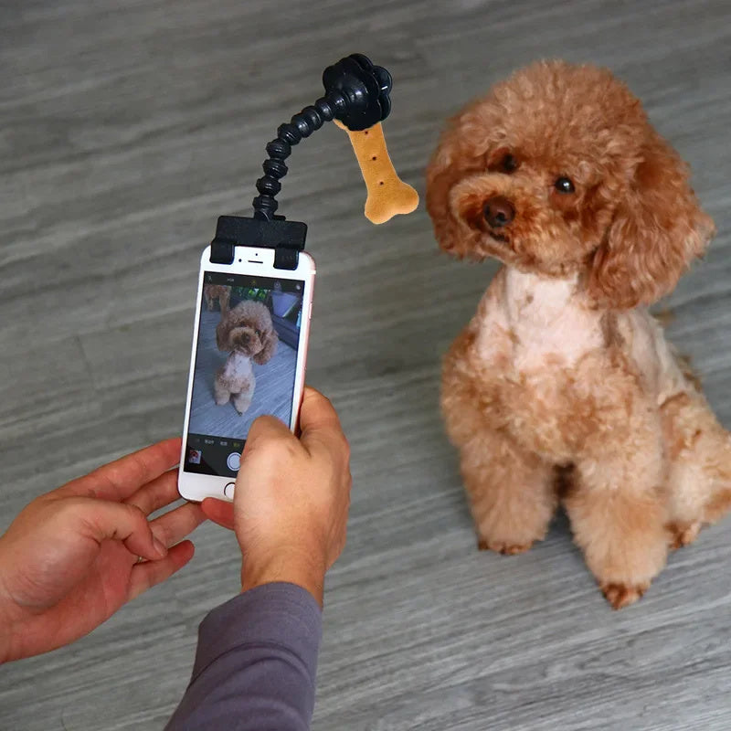 Pet Treat Holder Photography Tool