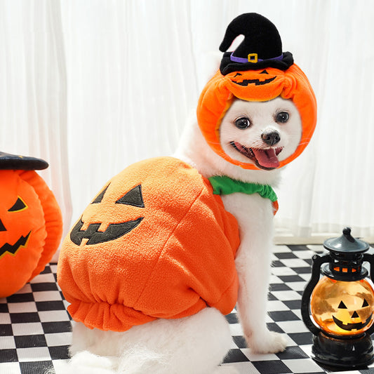 Halloween Pumpkin Costume