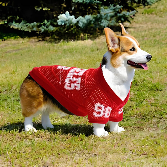 Los Angeles Jersey