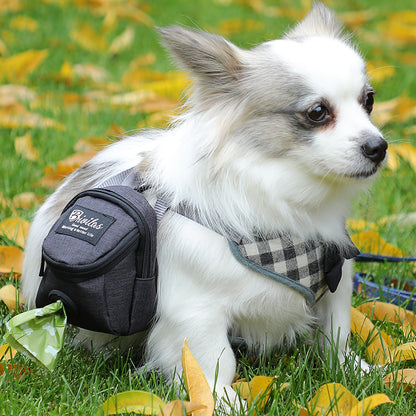 Attachable Leash Snack Bag