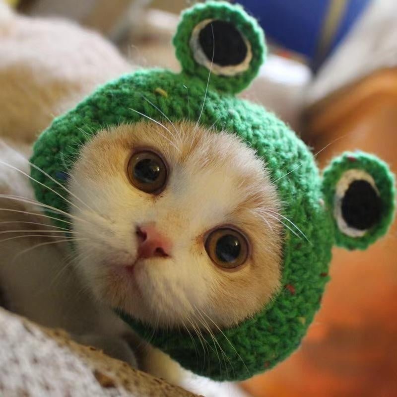 Adorable Crochet Pet Hat - PawPlaza