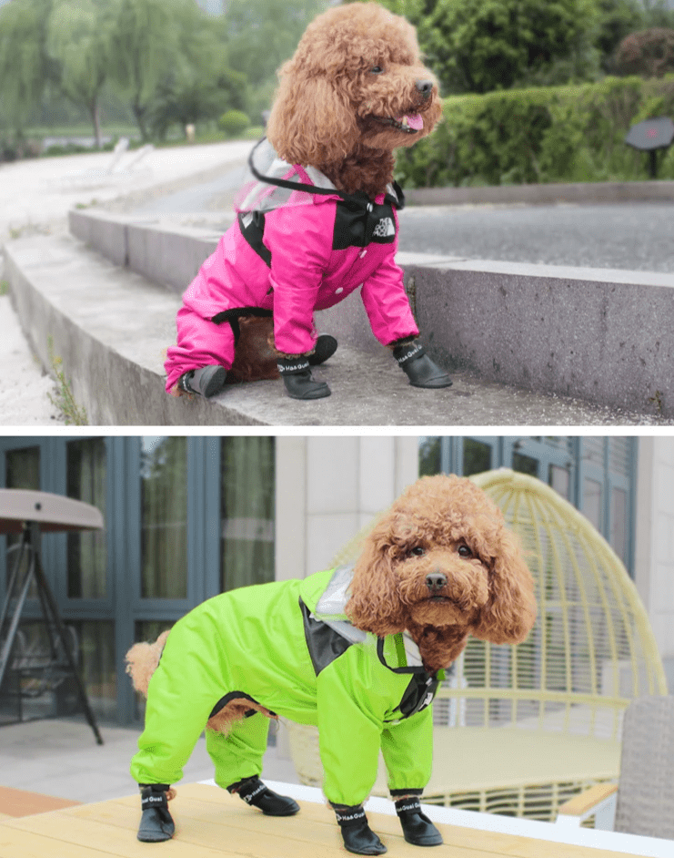 All - In - One Big Visor Raincoat - PawPlaza