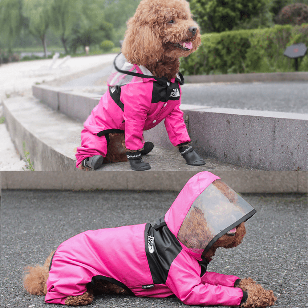 All - In - One Big Visor Raincoat - PawPlaza