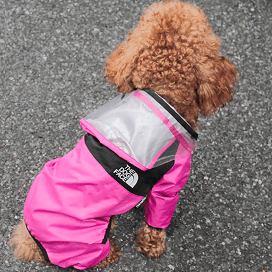 All - In - One Big Visor Raincoat - PawPlaza