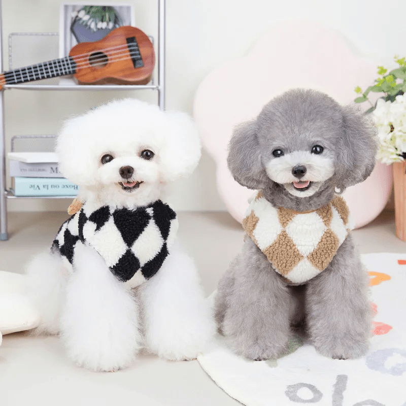 Argyle Vest with Bear Accessory - PawPlaza