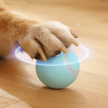Auto - Rolling Interactive Smart Ball - PawPlaza