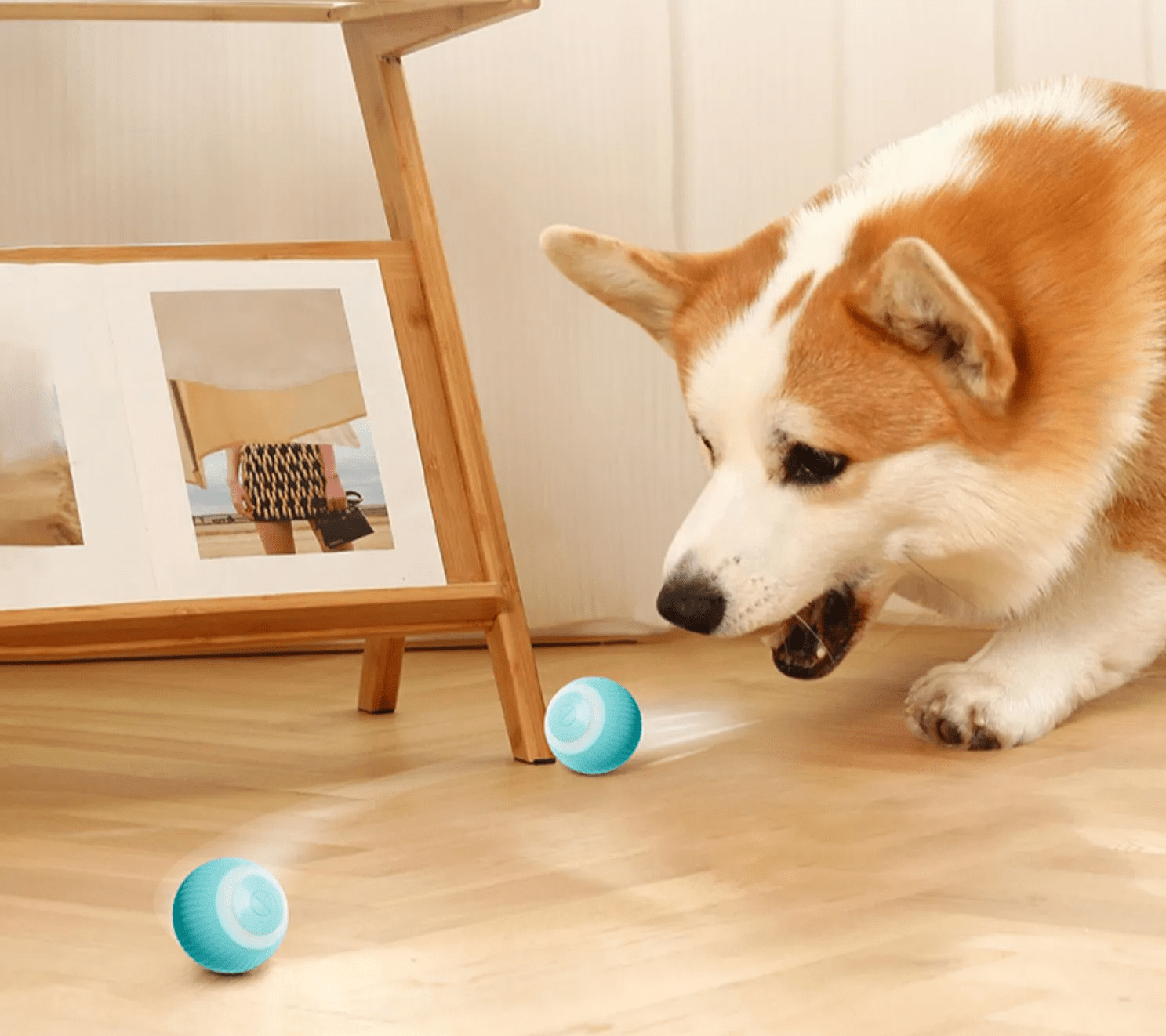 Auto - Rolling Interactive Smart Ball - PawPlaza