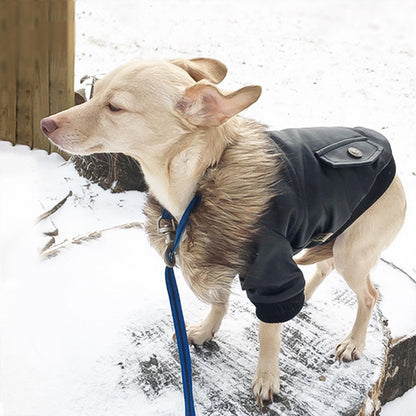 Punky Leather Parka