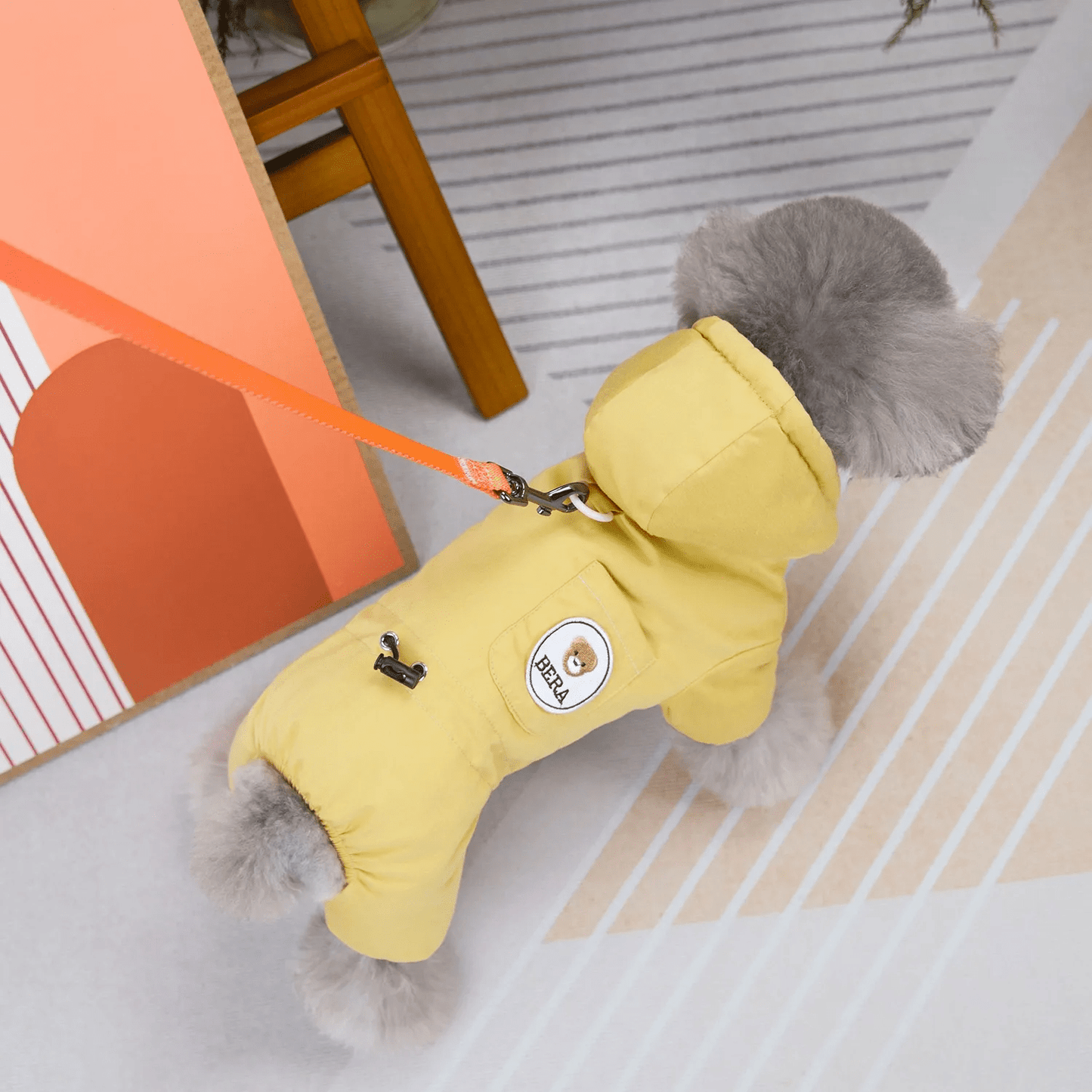 BERA Bear Winter Suit - PawPlaza