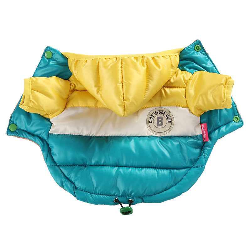 Sugar Pop Cotton-Padded Puffer Jacket