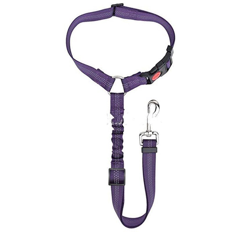 Car Head Restraint Pet Safety Leash - PawPlaza