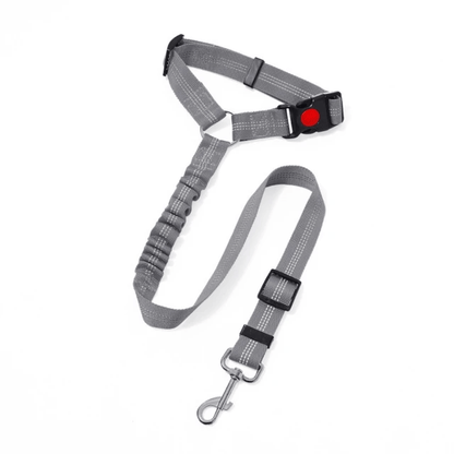 Car Head Restraint Pet Safety Leash - PawPlaza
