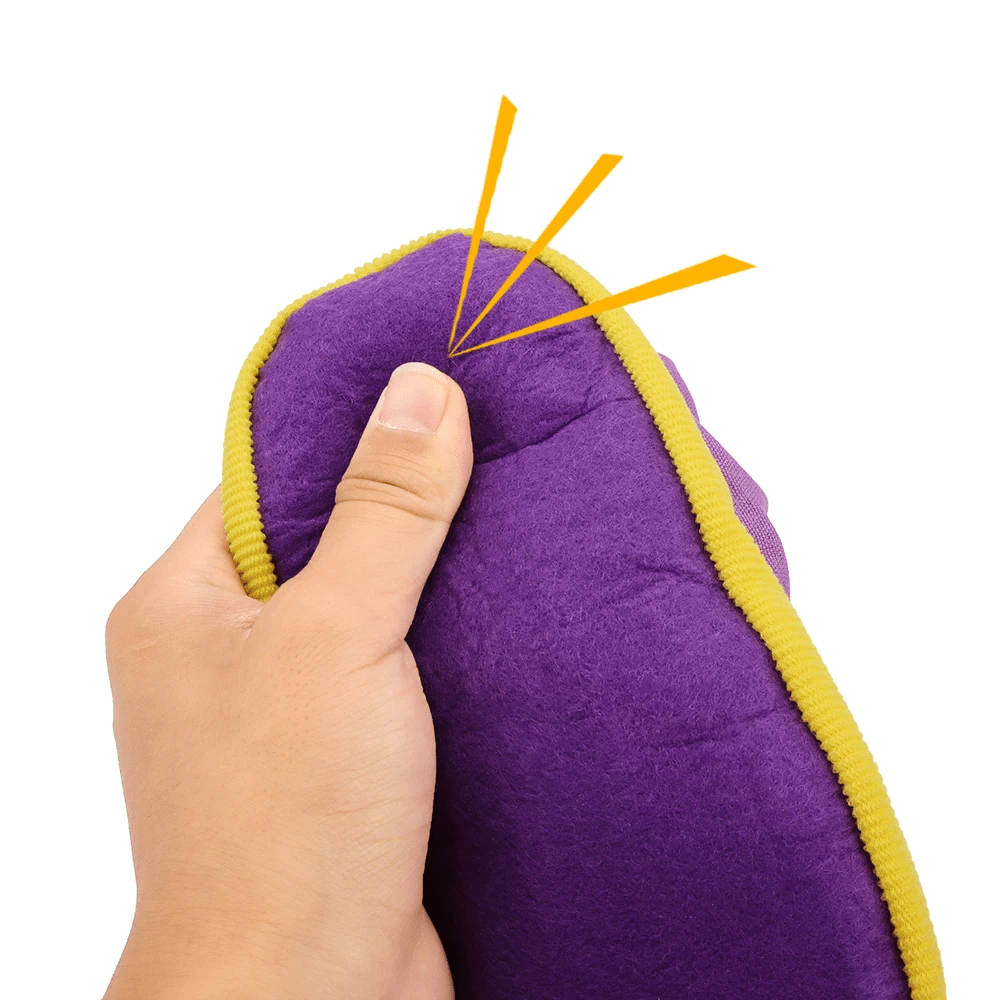 Chewing Resistant Toy Shoe - PawPlaza