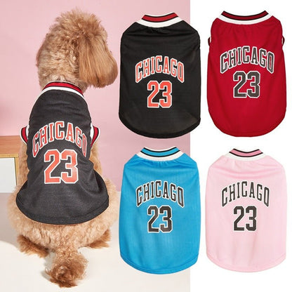 Chicago Basketball Jersey - PawPlaza