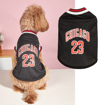 Chicago Basketball Jersey - PawPlaza