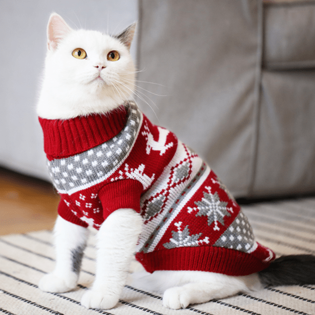 Christmas Knit Sweater for Dachshunds, Corgis, & Cats - PawPlaza