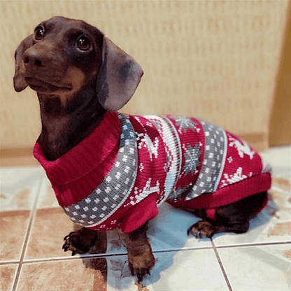 Christmas Knit Sweater for Dachshunds, Corgis, & Cats - PawPlaza