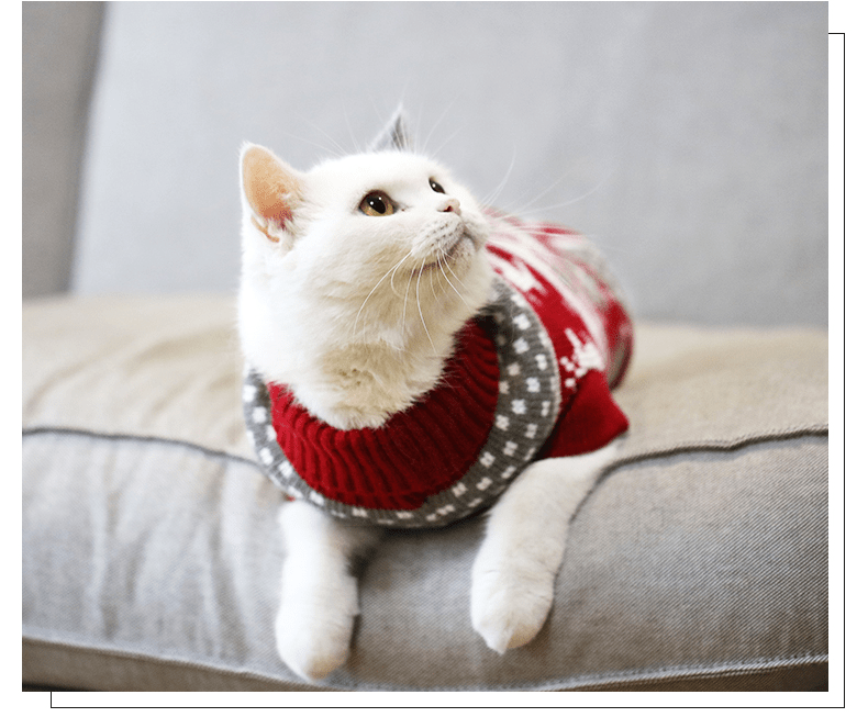Christmas Knit Sweater for Dachshunds, Corgis, & Cats - PawPlaza