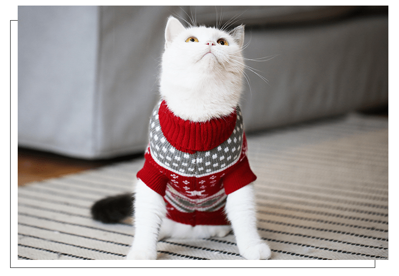 Christmas Knit Sweater for Dachshunds, Corgis, & Cats - PawPlaza
