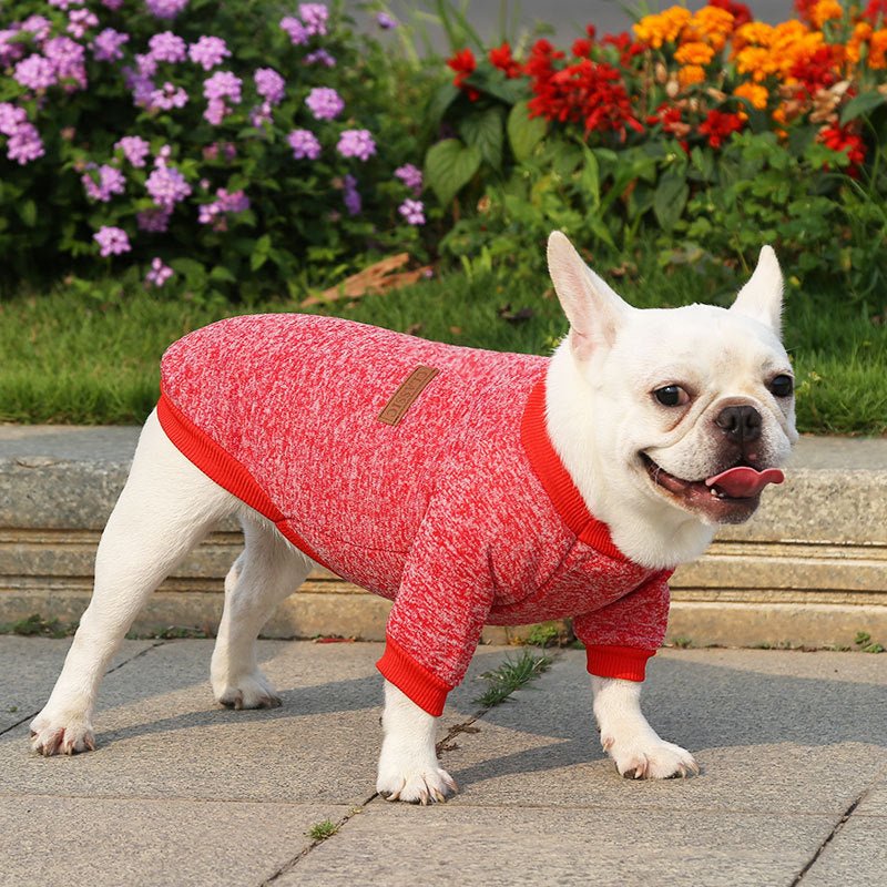 Classic Cammie Sweater - PawPlaza