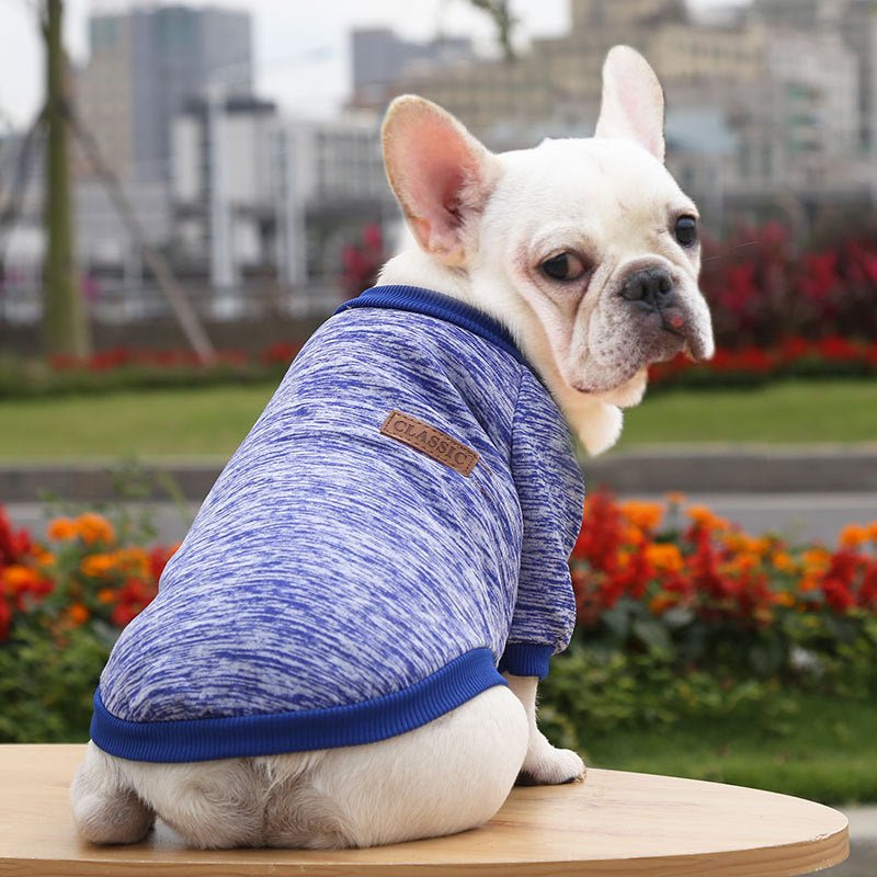 Classic Cammie Sweater - PawPlaza